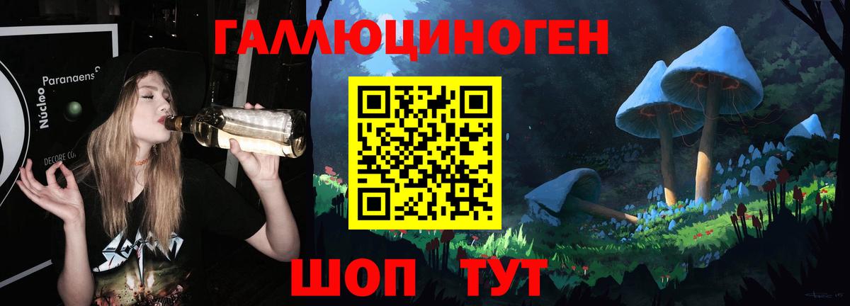 Галлюциногенные грибы мицелий  Галлюциногенные грибы мицелий  Вход с VPN  Нижний Новгород 